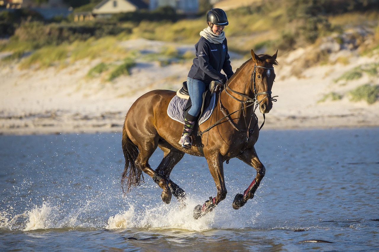 Pourquoi utiliser un gilet de protection ?